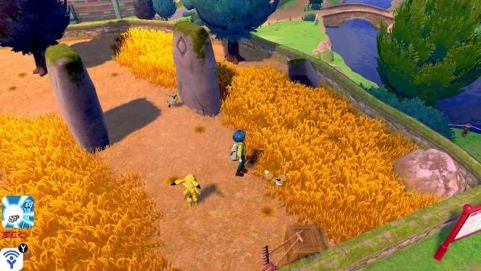 Pokémon Sword and Shield: How to Catch and Evolve Eevee