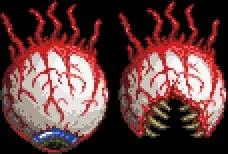 خلاصه کارفرمایان اساسی در Terraria