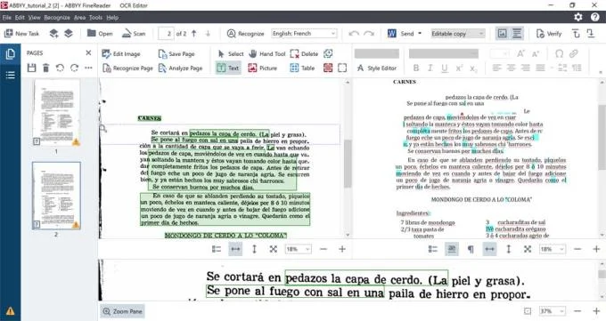 ABBYY FineReader Kullanım Kılavuzu