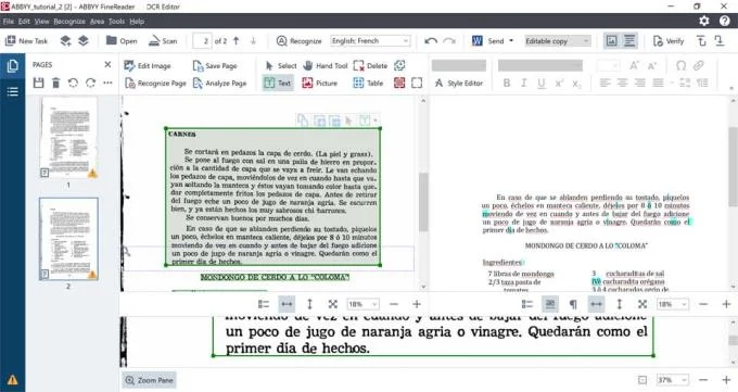 ABBYY FineReader Kullanım Kılavuzu