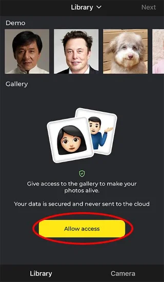 Petunjuk untuk menggunakan kolase foto wajah Avatarify