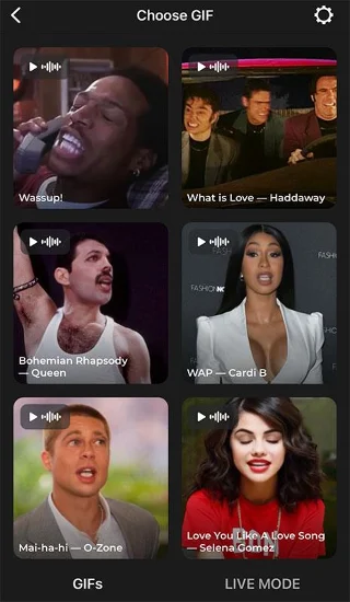 Petunjuk untuk menggunakan kolase foto wajah Avatarify