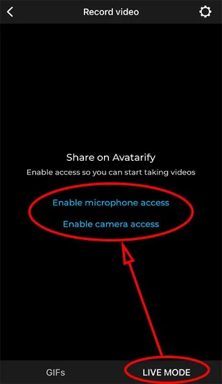 Petunjuk untuk menggunakan kolase foto wajah Avatarify