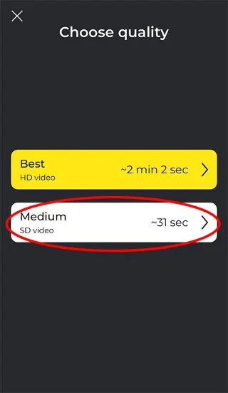 Petunjuk untuk menggunakan kolase foto wajah Avatarify