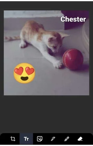 Android 12: Cara mengedit foto dengan Editor Markup