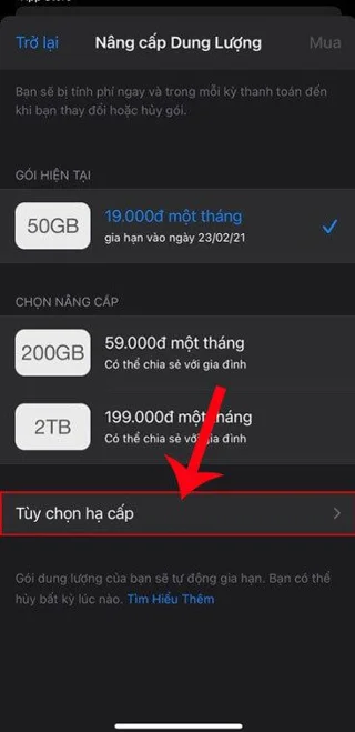 獲取 9 個月 50GB 免費 iCloud 存儲空間的說明