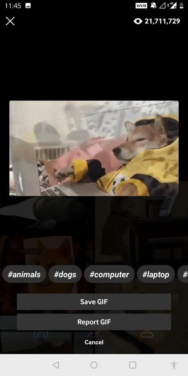 4 façons d'enregistrer des GIF sur un téléphone Android