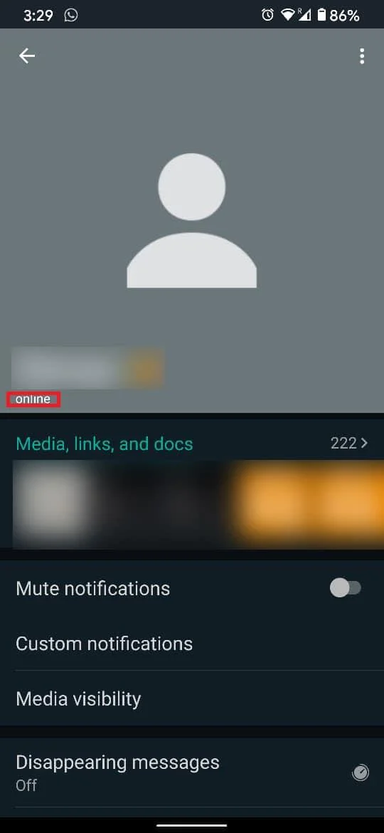 Cómo verificar si alguien está en línea en Whatsapp sin conectarse