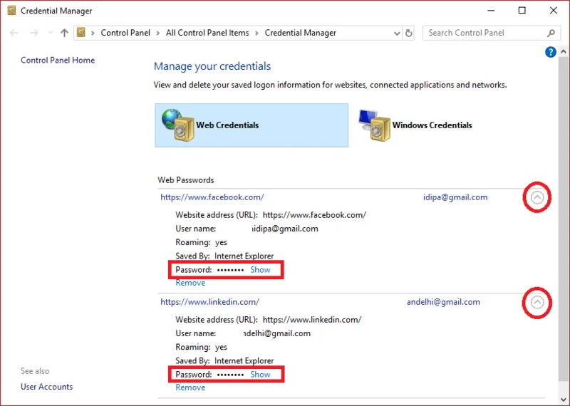 Come trovare le password salvate in Windows 10