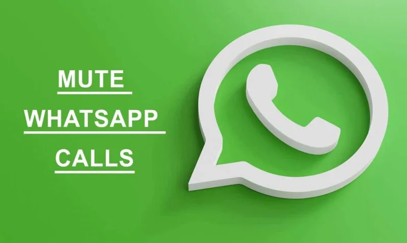 AndroidでWhatsappの通話をミュートする方法は？