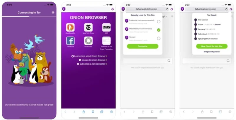 Navegador Onion