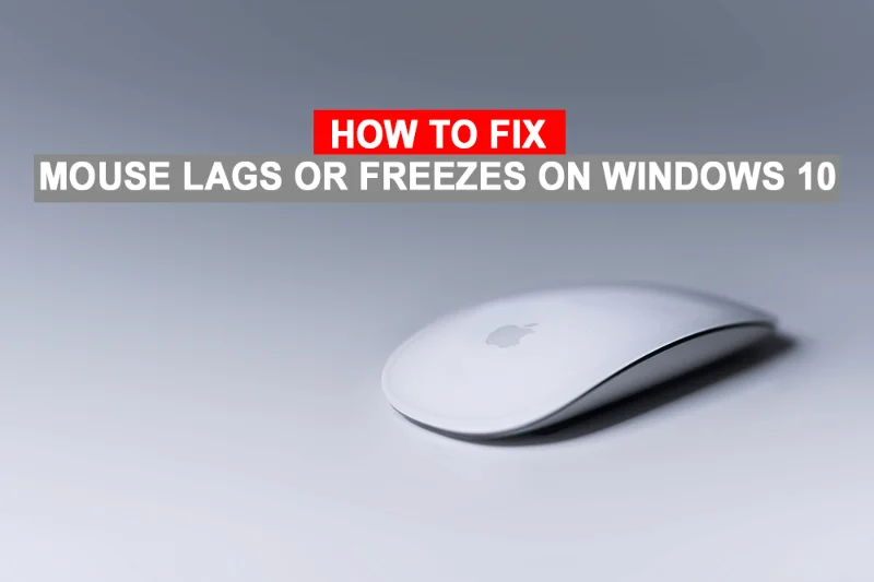 Tetikus Lags atau Membeku pada Windows 10?  10 cara berkesan untuk memperbaikinya!