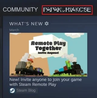 如何對朋友隱藏 Steam 活動