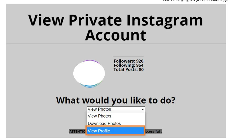 如何查看私人 Instagram 帳戶 如何查看私人 Instagram 帳戶