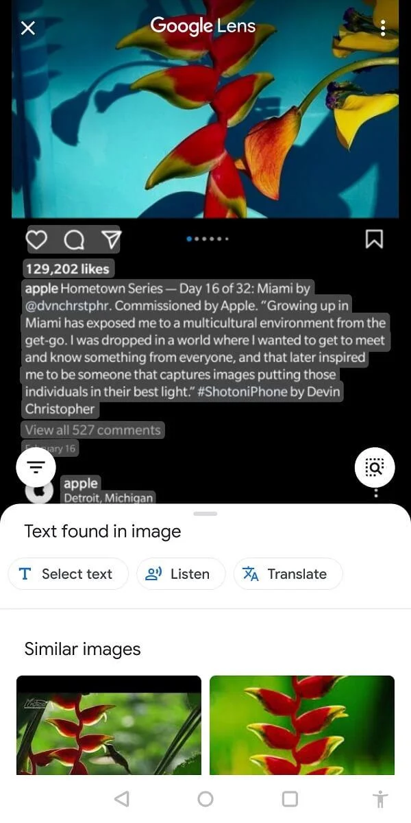 如何復制 Instagram 字幕、評論和個人簡介 如何復制 Instagram 字幕、評論和個人簡介