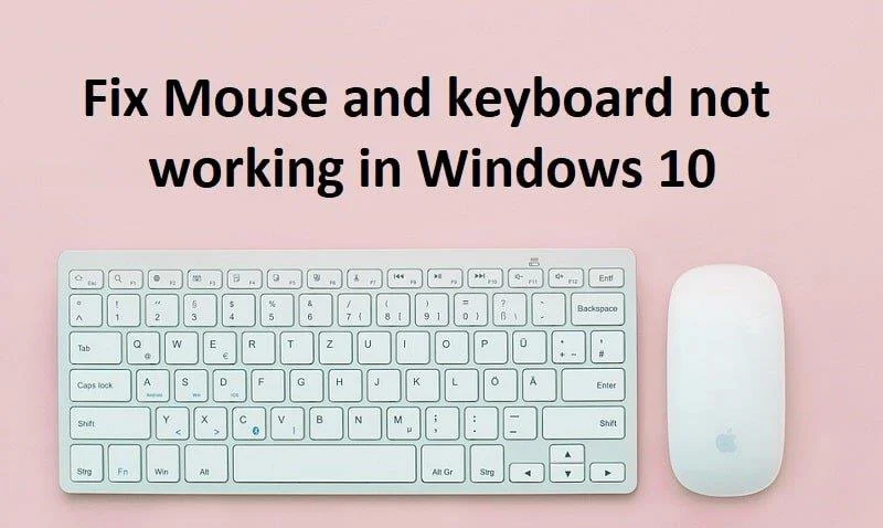 Tetikus dan Papan Kekunci Tidak Berfungsi dalam Windows 10 [SELESAIKAN]