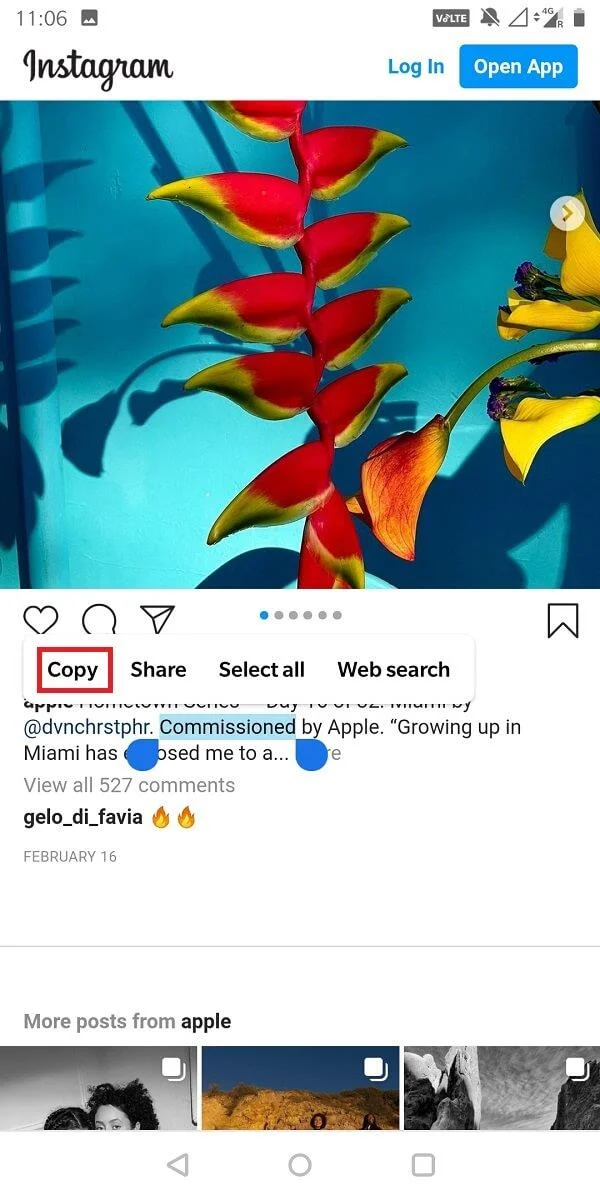 如何復制 Instagram 字幕、評論和個人簡介 如何復制 Instagram 字幕、評論和個人簡介
