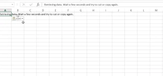 Fix Gegevens ophalen. Wacht een paar seconden en probeer opnieuw te knippen of te kopiëren Fout in Excel