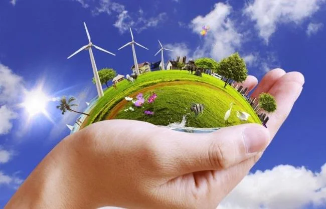 LG çamaşır makinesinde motor doğrudan tahrik invertörü