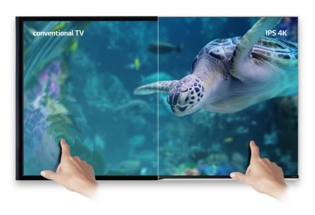 저렴한 Android TV, TCL 또는 Skyworth를 구매해야합니까?