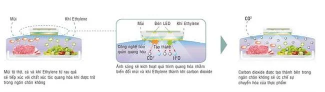 Tecnologia di refrigerazione sui frigoriferi Hitachi