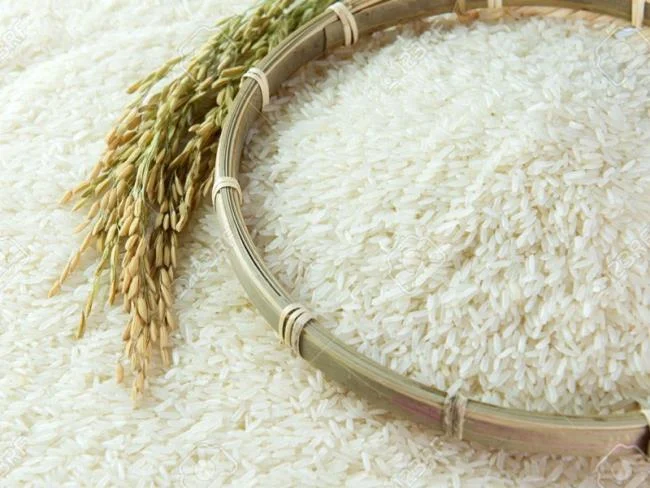 इलेक्ट्रिक तोशिबा चावल कुकर के साथ दलिया कैसे पकाने के लिए
