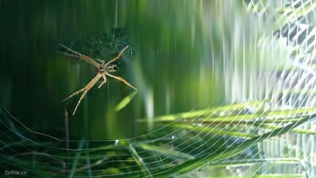 Korkunç kameralara sahip 5 yüksek kaliteli akıllı telefon