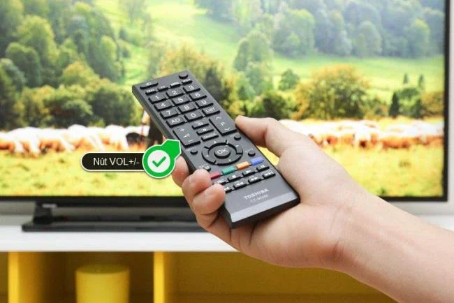 Fix some common errors on Toshiba TVs