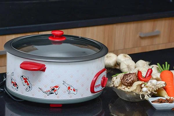 I pro e i contro della pentola elettrica