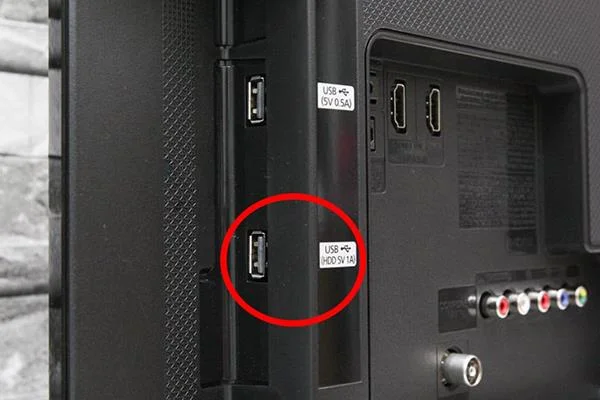 Etapas simples para conectar um disco rígido à TV