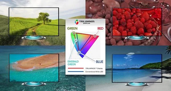 ソニーのテレビのTRILUMINOS™ディスプレイの何が特別なのですか？