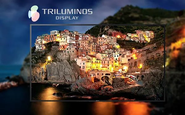 ソニーのテレビのTRILUMINOS™ディスプレイの何が特別なのですか？