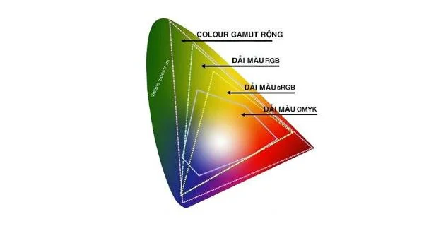 A tecnologia Wide Color Gamut na TCL TV não é nada especial