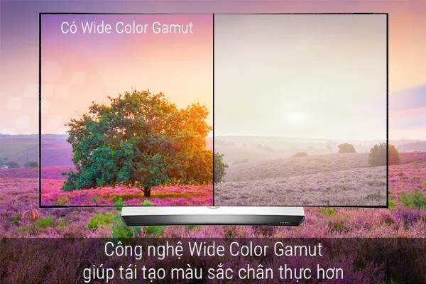 A tecnologia Wide Color Gamut na TCL TV não é nada especial