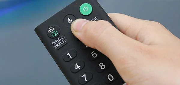 Qual è la funzione di controllo vocale in TV?