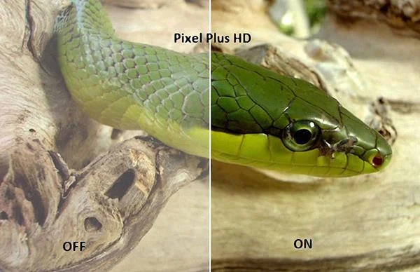フィリップスTVの画像技術について学ぶ