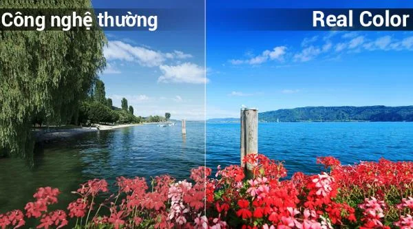 Em que país é a Sharp TV?  Quer comprar ou não?