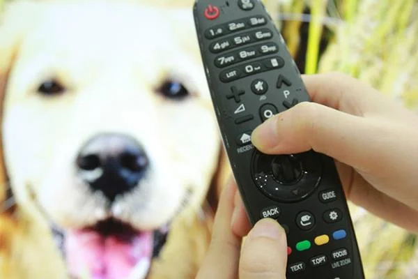 Navigasi Cepat WebOS