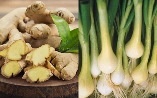 Tavuk nasıl haşlanır, lezzetli ve göz alıcıdır?