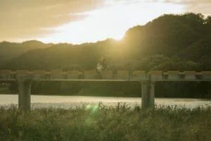 영화 리뷰 그리고 내가 갈게-당신과 함께