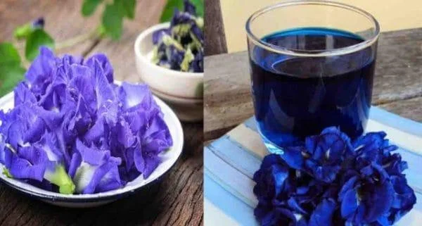 5 임산부가 아기에게 좋은 머리카락, 칙칙한 눈썹, 아름다운 피부를주는 음식