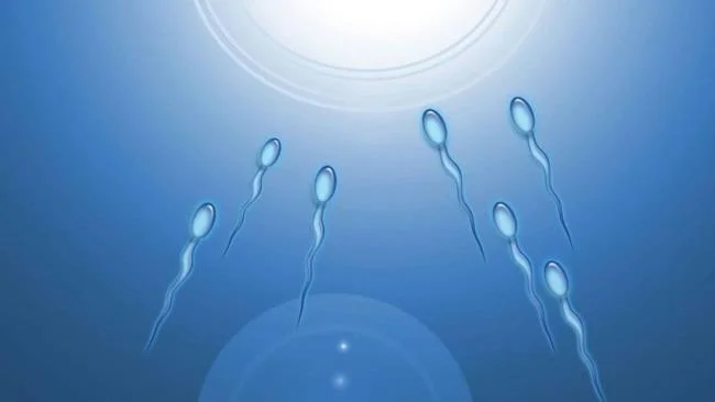 精子泵的費用