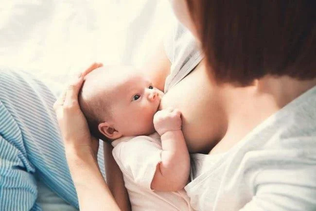 산모가 출산 후 오리를 먹으면 모유의 품질에 악영향을 미칠까요?