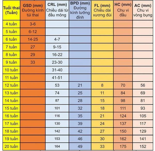 태아의 머리 둘레는 어떻게 정상이며, 무엇이 비정상입니까?