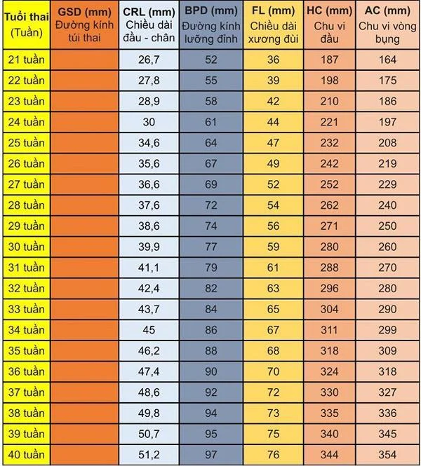태아의 머리 둘레는 어떻게 정상이며, 무엇이 비정상입니까?