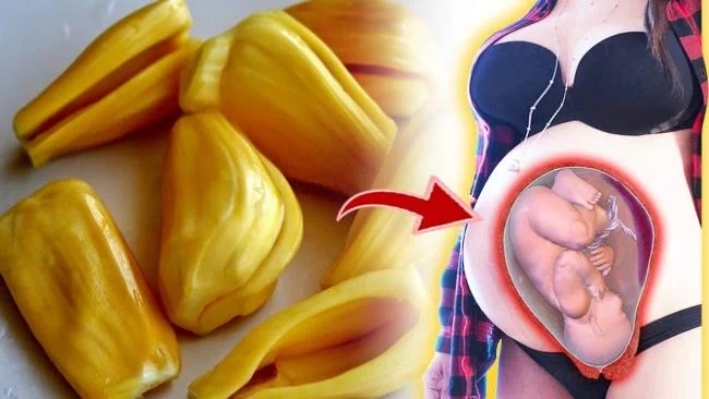임신 한 엄마는 태아에게 영향을주지 않기 위해 잭 프루트를 절대로 먹지 말아야 할 때?