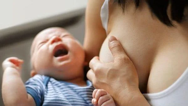 모유 수유시 코코아를 마셔야하며, 코코아를 마셔야 모유에 영향을 미칠 수 있습니다