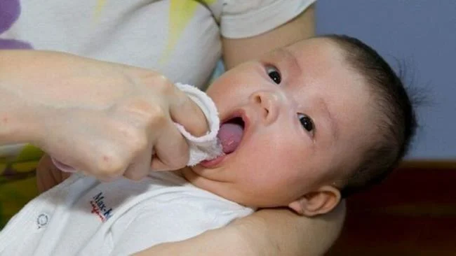 골파가 아기에게 열과 통증없이 젖니를 남기게하는 방법
