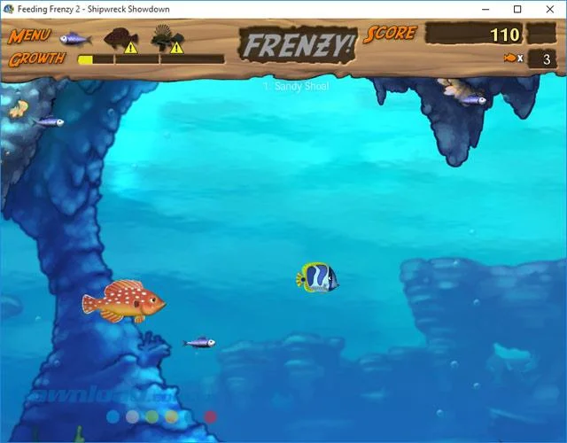 Feeding Frenzy را نصب کنید و بازی ماهی های بزرگ را در رایانه شخصی بازی ماهی های کوچک بخورید