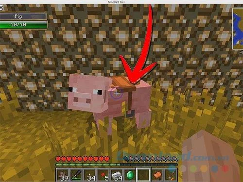 راهنما برای سوار شدن به خوک ها و اسب ها در Minecraft